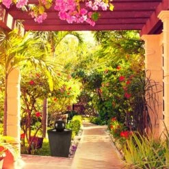 Königsbrunn Springbrunnen Solar 200 L/h LED Akku Basaltoptik -Klarstein Verkaufs 10029040 yy 0004 ambient Blumfeldt Koenigsbrunn Solar Springbrunnen reedit