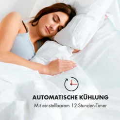 IceWind 4-in-1 Luftkühler Luftdurchsatz: 222 M³/h 36,5 Watt -Klarstein Verkaufs 10033496 de 0009 logo