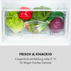 Cool Cousin Kühl-Gefrier-Kombination 70/11 Liter 40 DB 5 Cool Cousin Kühl-Gefrier-Kombination 70/11 Liter 40 DB -Klarstein Verkaufs 10034547 de 0006 logo