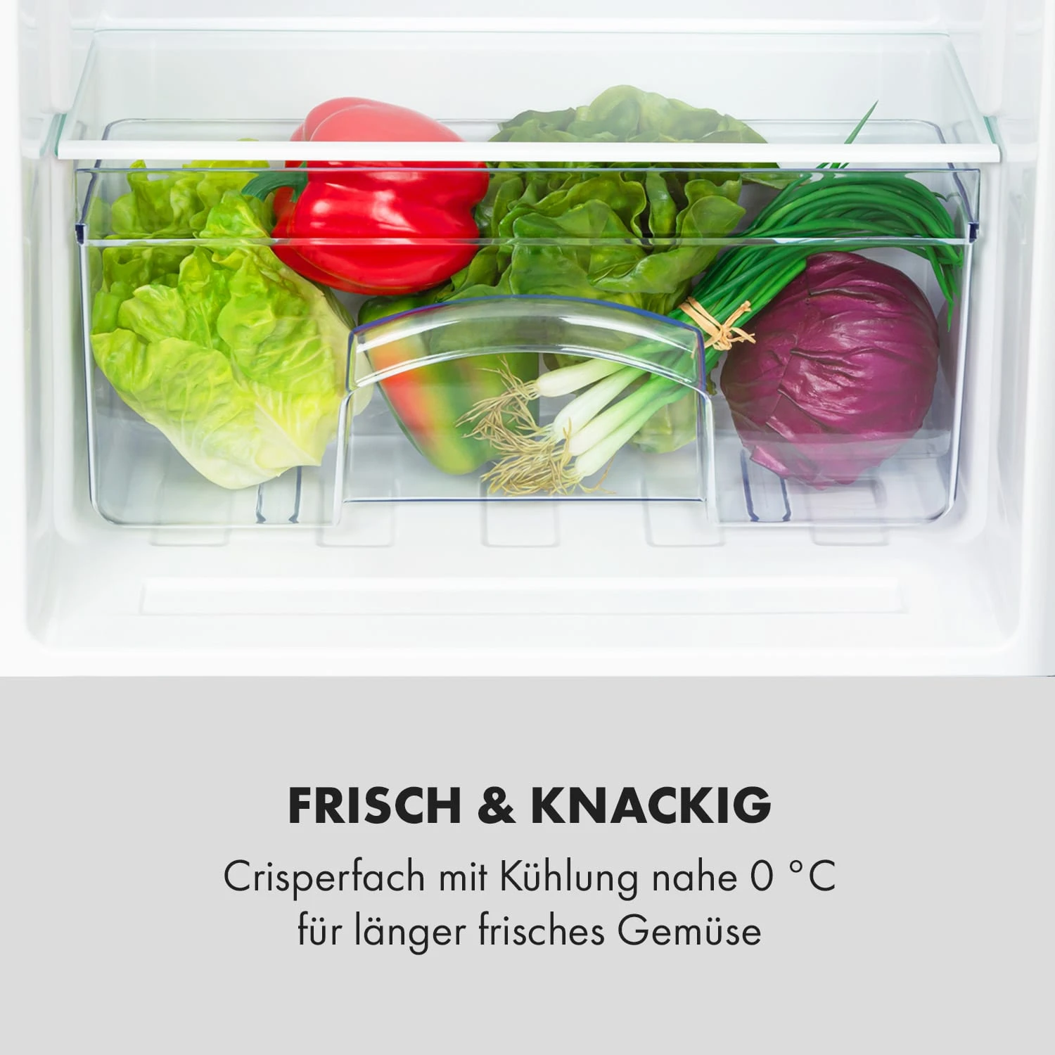 Cool Cousin Kühl-Gefrier-Kombination 70/11 Liter 40 dB Cool Cousin Kühl-Gefrier-Kombination 70/11 Liter 40 DB -Klarstein Verkaufs 10034547 de 0006 logo