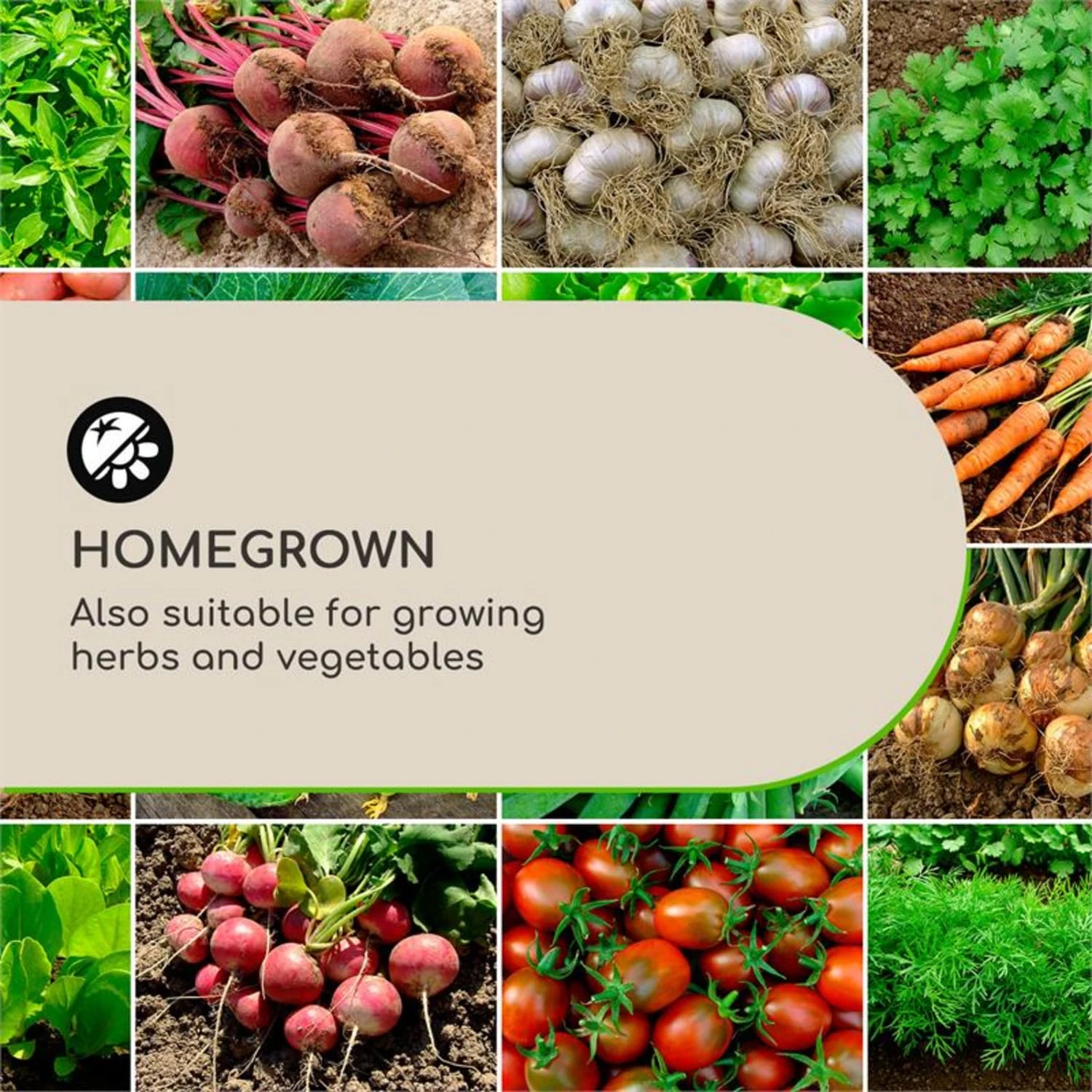 Solid Grow Rust Pflanzgefäß 80 x 38 x 38 cm Fibreclay rostfarben Solid Grow Rust Pflanzgefäß 80 X 38 X 38 Cm Fibreclay Rostfarben -Klarstein Verkaufs