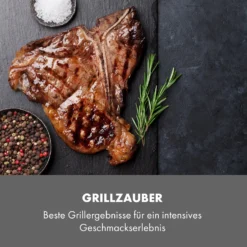 Steakreaktor Core Indoor Grillgerät Hochtemperaturgrill 2100W 800°C -Klarstein Verkaufs 10035085 de 0007 logo