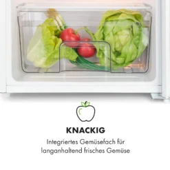 Spitzbergen Uni Kühlschrank 91 Liter 10-Liter-Gefrierfach 2 Böden -Klarstein Verkaufs 10035192 de 0006 logo