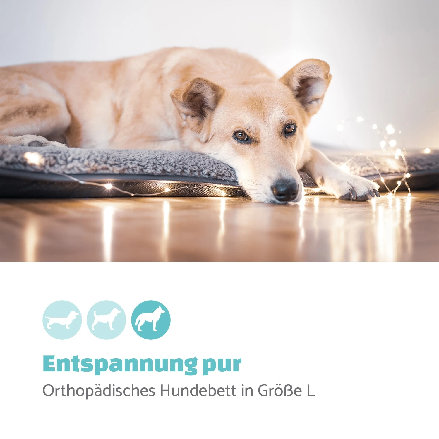 Finn Hundebett waschbar rutschfest atmungsaktiv PE / Vlies Größe L Finn Hundebett Waschbar Rutschfest Atmungsaktiv PE / Vlies Größe L -Klarstein Verkaufs 10037526 de 0002 logo