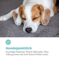 Finn Hundebett Waschbar Rutschfest Atmungsaktiv PE / Vlies Größe L 2 Finn Hundebett Waschbar Rutschfest Atmungsaktiv PE / Vlies Größe L -Klarstein Verkaufs 10037526 de 0003 logo