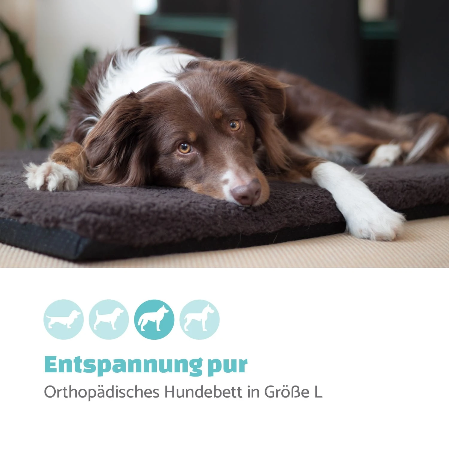 Luna Hundebett waschbar orthopädisch rutschfest Memory-Schaum Größe L Luna Hundebett Waschbar Orthopädisch Rutschfest Memory-Schaum Größe L -Klarstein Verkaufs 10037543 de 0002 logo