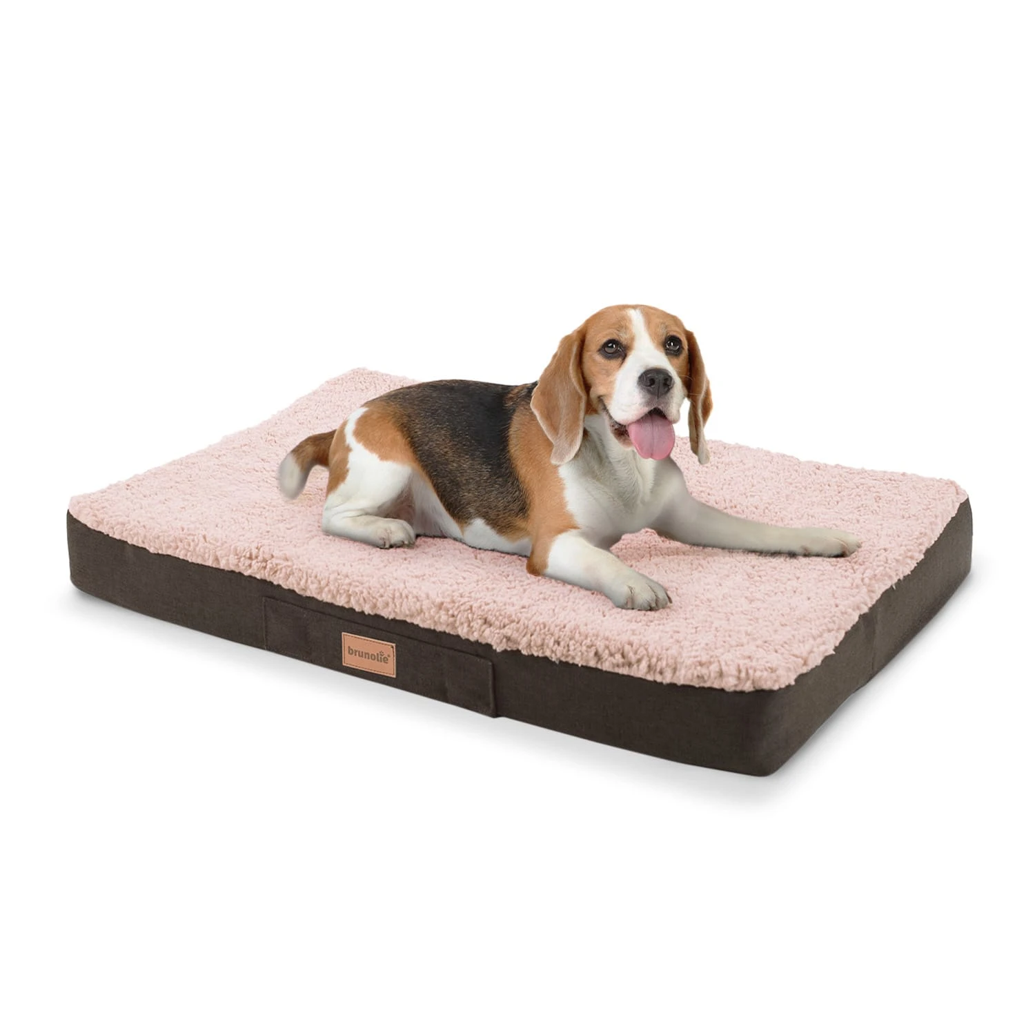 Balu Hundebett Hundekissen | waschbar | orthopädisch | rutschfest | atmungsaktiver Memory-Schaum | Größe M (79 x 8 x 60 cm) Balu Hundebett Hundekissen | Waschbar | Orthopädisch | Rutschfest | Atmungsaktiver Memory-Schaum | Größe M (79 X 8 X 60 Cm) -Klarstein Verkaufs 10037560 yy 0001 titel