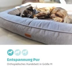Bruno Hundebett Hundekorb | Waschbar | Orthopädisch | Rutschfest | Atmungsaktiv | Memory-Schaum | Größe M (80 X 17 X 55 Cm) -Klarstein Verkaufs 10037582 de 0002 logo