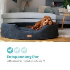 Lotte Hundebett Waschbar Orthopädisch Rutschfest Atmungsaktiv Größe M 1 Lotte Hundebett Waschbar Orthopädisch Rutschfest Atmungsaktiv Größe M -Klarstein Verkaufs 10037593 de 0002 logo
