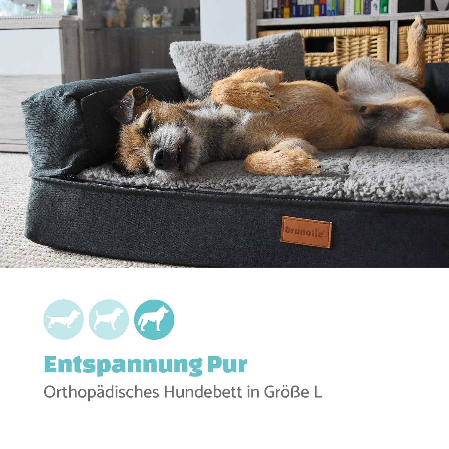 Odin Hundesofa Hundematte | waschbar | orthopädisch | rutschfest | atmungsaktiv | Memory-Schaum | Größe L (120 × 12 × 80 cm) Odin Hundesofa Hundematte | Waschbar | Orthopädisch | Rutschfest | Atmungsaktiv | Memory-Schaum | Größe L (120 × 12 × 80 Cm) -Klarstein Verkaufs 10037603 de 0002 logo