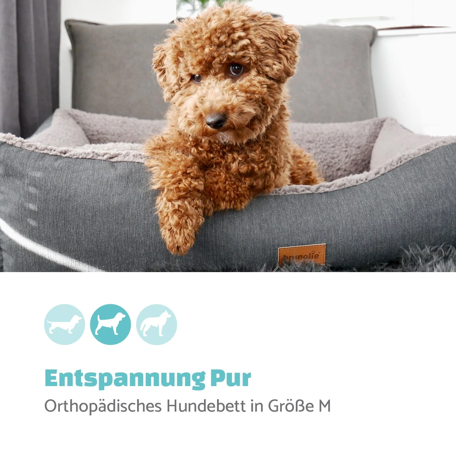 Emma Hundebett waschbar rutschfest atmungsaktiv Wendematratze Emma Hundebett Waschbar Rutschfest Atmungsaktiv Wendematratze -Klarstein Verkaufs 10037605 de 0002 logo