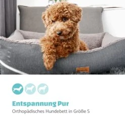 Emma Hundebett Hundekorb | Waschbar | Rutschfest | Atmungsaktiv | Wendematratze | Kissen | Größe S (67 X 20 X 59 Cm) -Klarstein Verkaufs 10037607 de 0002 logo
