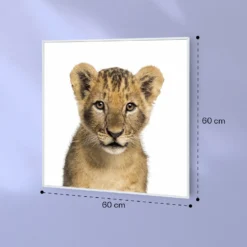 Wonderwall Air Art Smart Infrarotheizung Löwe 60x60cm 350W -Klarstein Verkaufs 10037834 yy 0007 logo