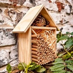 Bambusröhrchen 70 Stück Je 15 Cm Länge Holzfarben 4 Bambusröhrchen 70 Stück Je 15 Cm Länge Holzfarben -Klarstein Verkaufs 10038148 yy 0005 logo