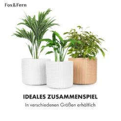 Hasselt Blumentopf Polystone Pflanzenfreundlich Handgemacht 3D-Optik 4 Hasselt Blumentopf Polystone Pflanzenfreundlich Handgemacht 3D-Optik -Klarstein Verkaufs 10038547 de 0006 usp