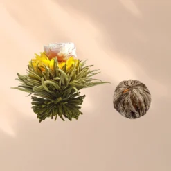 Teeblumen 6 Verschiedene Sorten Einzeln Verpackt Sehr Ergiebig -Klarstein Verkaufs 10040406 yy 0007 logo