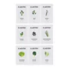 GrowIt Seeds Samen-Set 9x Samen: 3x Asia, 3x Europa, 3x Salat