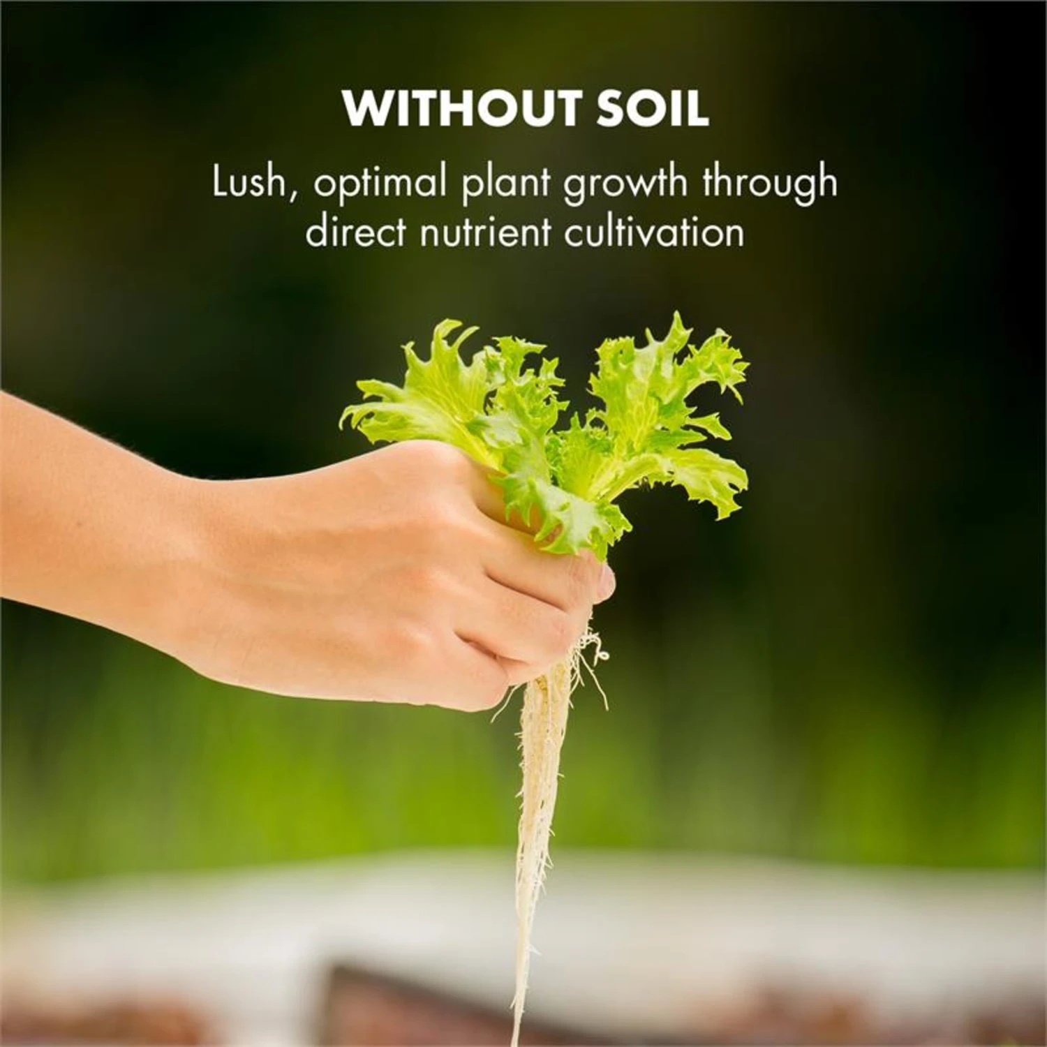 GrowIt Cuisine Starter Kit Salad 12 Pflanzen 25W LED 2Ltr Salad-Seeds Nährlösung GrowIt Cuisine Starter Kit Salad 12 Pflanzen 25W LED 2Ltr Salad-Seeds Nährlösung -Klarstein Verkaufs 60002417 yy 0008 logo Klarstein GrowIt Cuisine Smart Indoor Garden